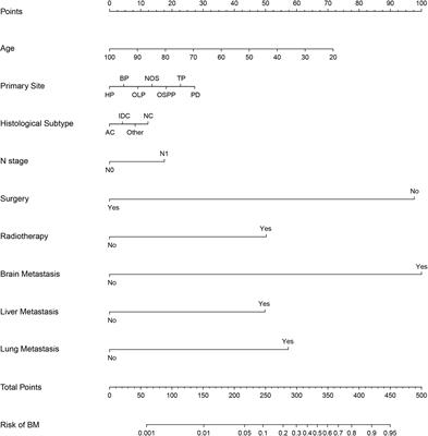 Nomogram Predicts Risk and Prognostic Factors for Bone Metastasis of Pancreatic Cancer: A Population-Based Analysis